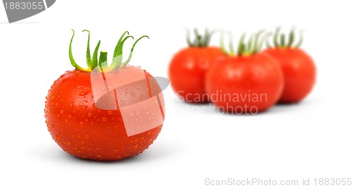 Image of Tomatos
