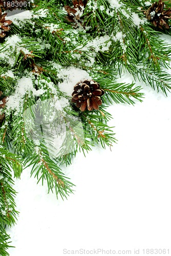 Image of Christmas background. Eve framework