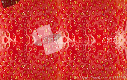 Image of Detailed surface of strawberry