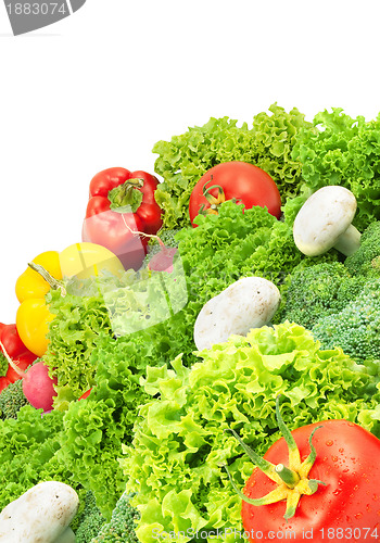 Image of Assorted fresh vegetables