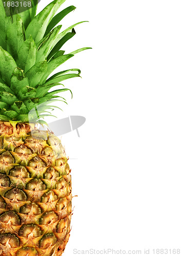 Image of Ripe pineapple