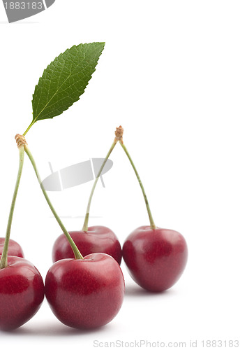 Image of Red cherries