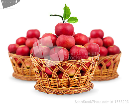 Image of 
Basket of apples