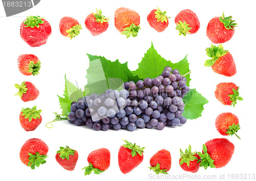 Image of Colorful healthy fresh fruit