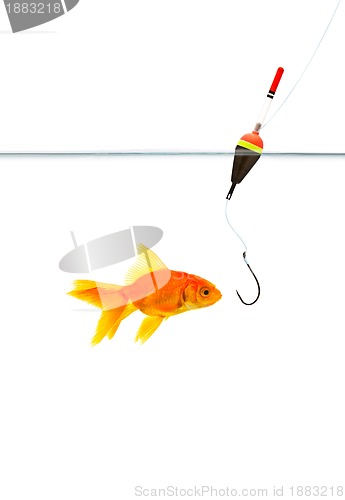 Image of Fishing