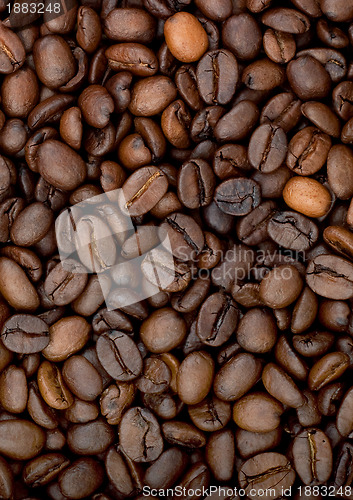 Image of Brown roasted coffee beans