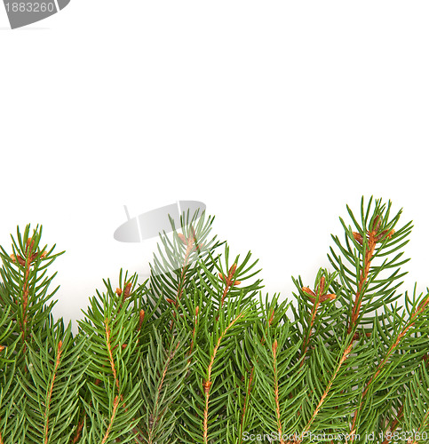 Image of Christmas framework
