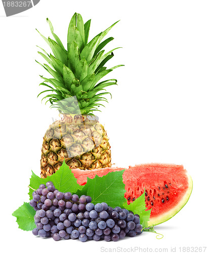 Image of Colorful healthy fresh fruit