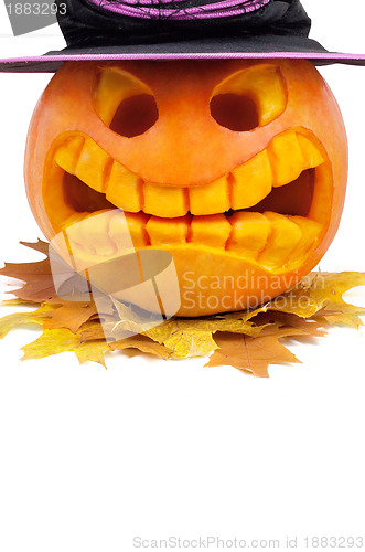 Image of Halloween pumpkin