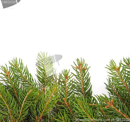 Image of Christmas framework