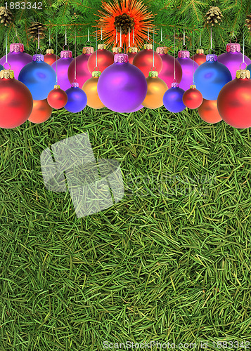 Image of Christmas spruce  texture