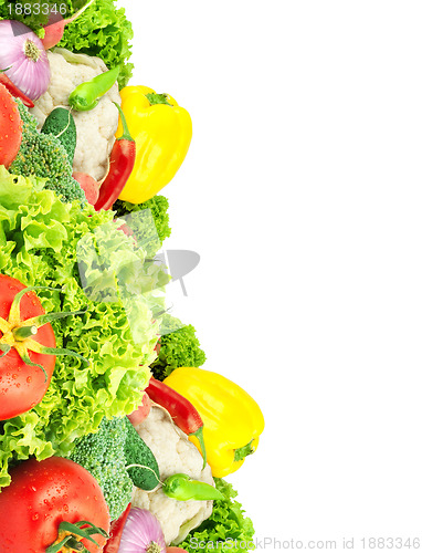 Image of Assorted fresh vegetables