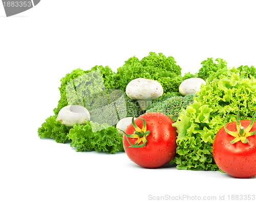 Image of Assorted fresh vegetables