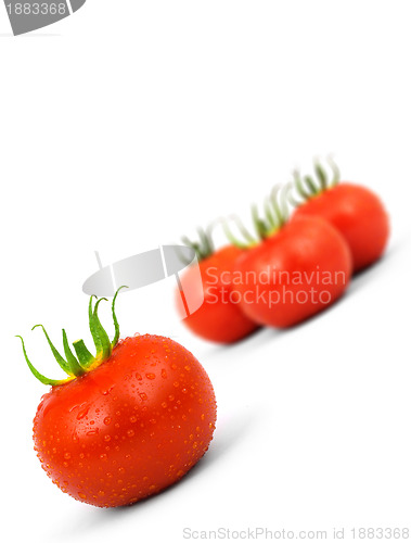 Image of Tomatos