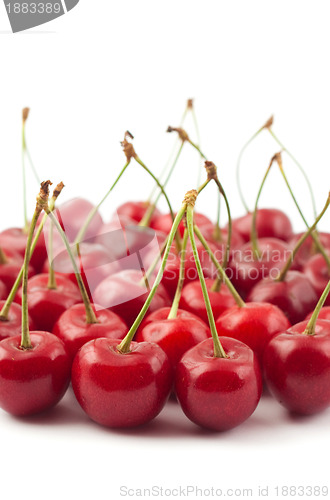 Image of Red cherries