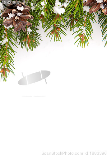 Image of Christmas framework with snow and cones