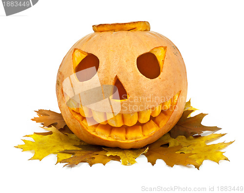 Image of Halloween pumpkin