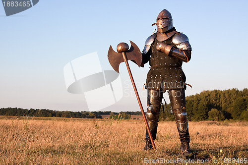 Image of Medieval knight