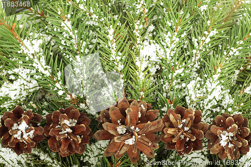 Image of Christmas background with snow