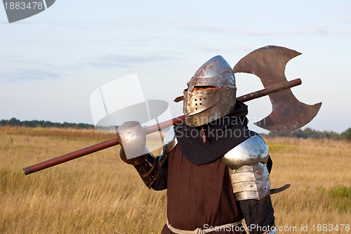 Image of Medieval knight