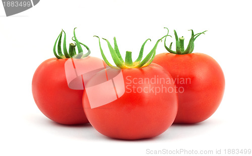 Image of Tomatos