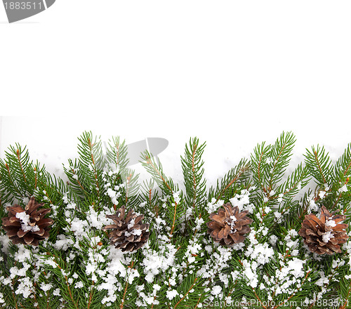 Image of Christmas framework with snow and cones