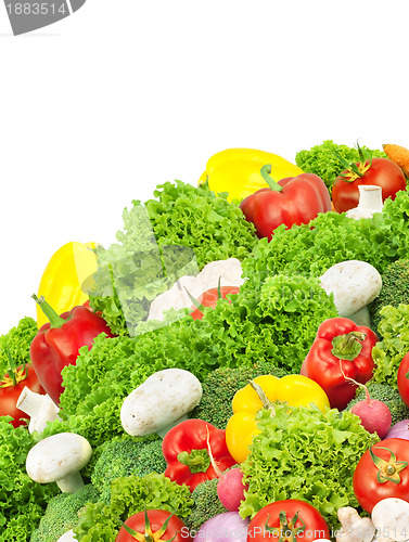 Image of Assorted fresh vegetables
