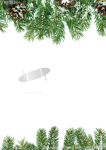 Image of Christmas framework with snow and cones