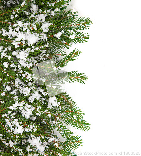 Image of Christmas framework