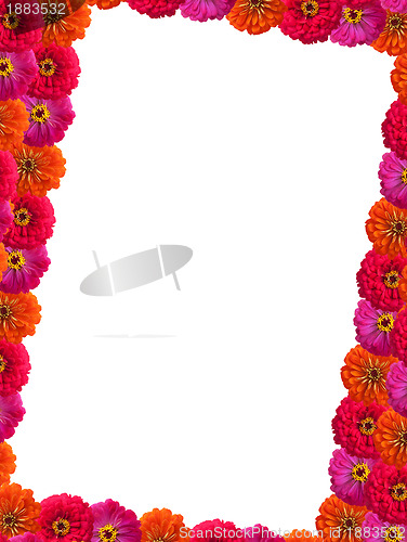Image of Petals