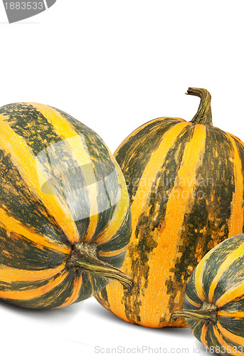 Image of Pumpkin
