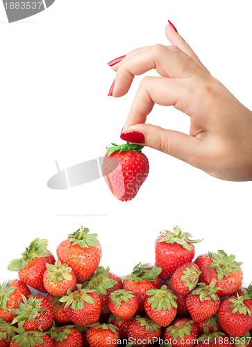 Image of Strawberry in the hand