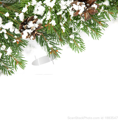 Image of Christmas framework with snow and cones