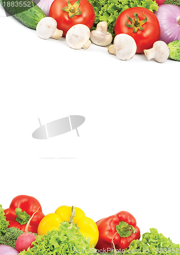 Image of Assorted fresh vegetables isolated on white background