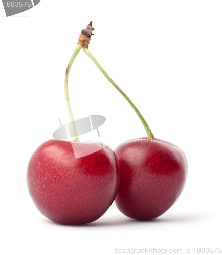 Image of Red cherries