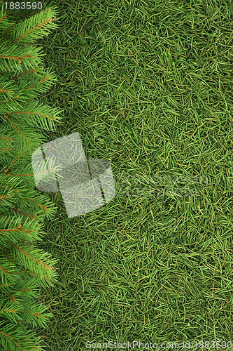 Image of Christmas framework