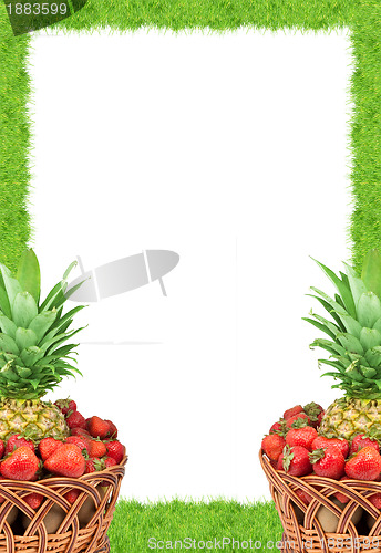 Image of Fresh fruit