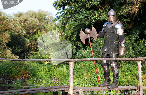 Image of Medieval knight