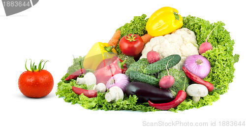 Image of Vegetables
