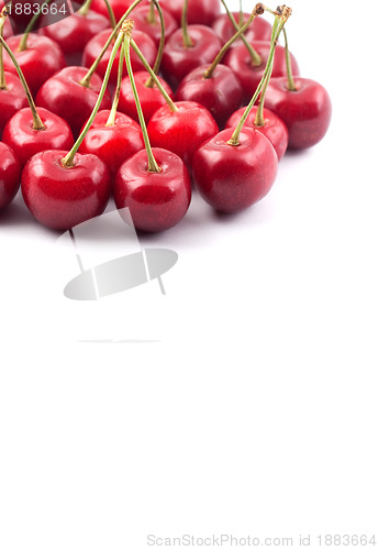 Image of Red cherries