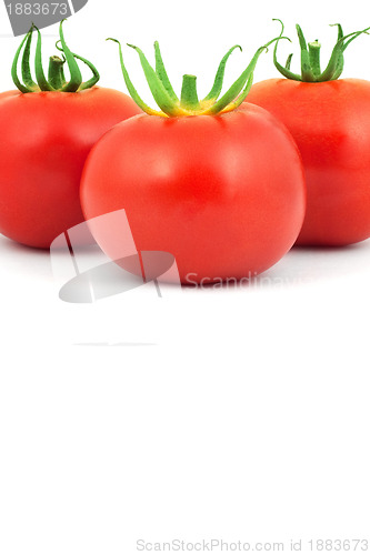 Image of Tomatos