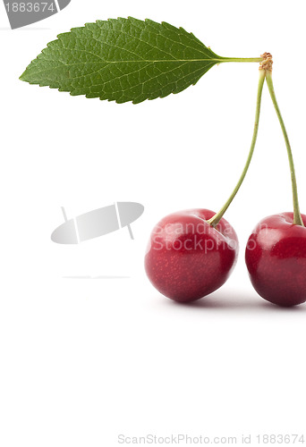 Image of Red cherries