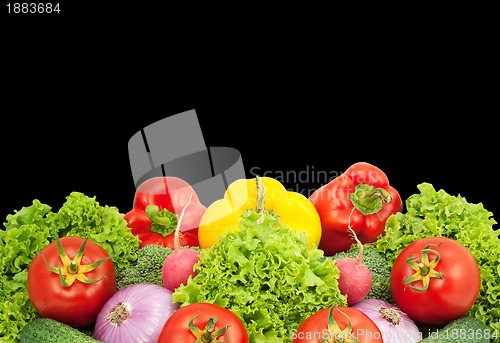 Image of Vegetables