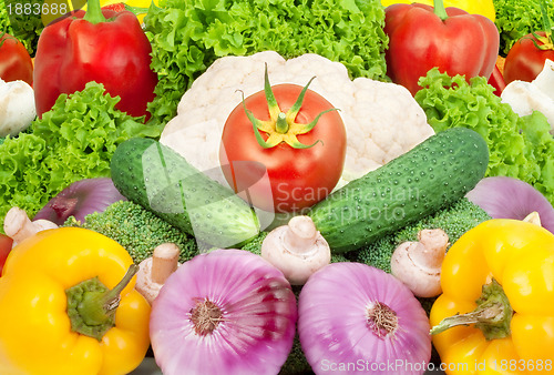 Image of Assorted fresh vegetables