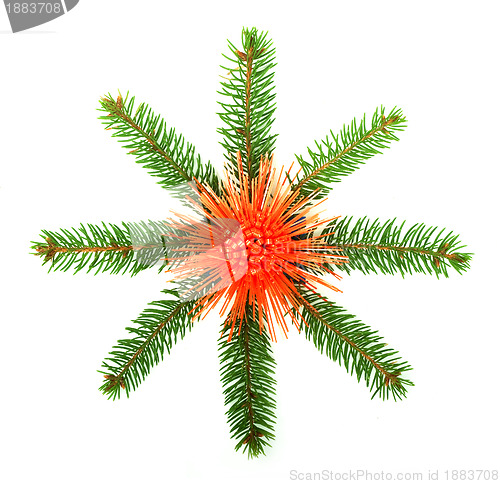 Image of Snowflake made from Christmas tree branches