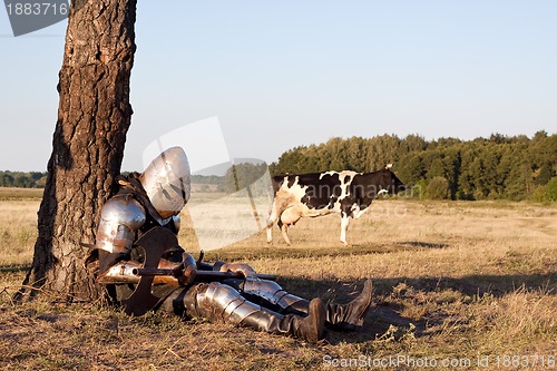 Image of Medieval knight