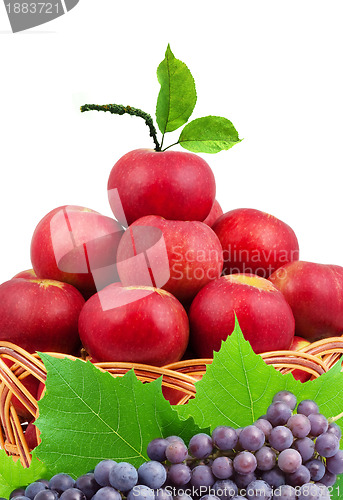 Image of 
Basket of apples