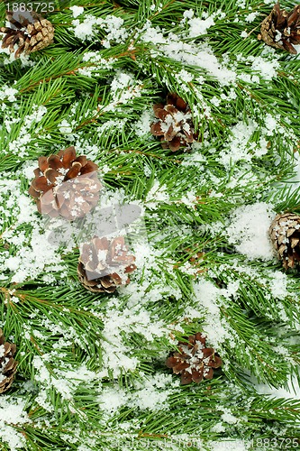 Image of Christmas background. Eve framework