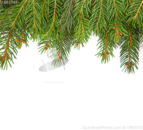 Image of Christmas framework