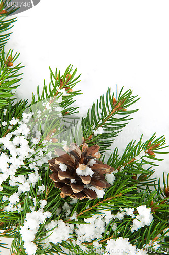 Image of Christmas framework with snow and cones